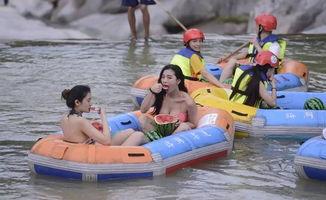 吃瓜水天涯,揭秘网络舆论场的真实面貌