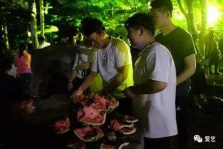 兰陵吃瓜事件音乐,音乐背后的故事与启示