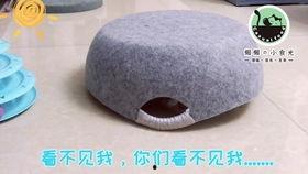 吃瓜了今天的瓜有点甜,吃瓜群众共享甜蜜瞬间