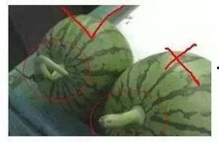 无声吃瓜,揭秘网络时代下的匿名舆论场