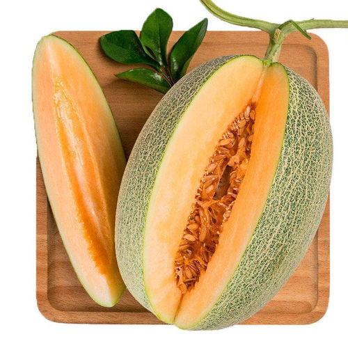 小蜜瓜特长就是吃,舌尖上的美食探险之旅