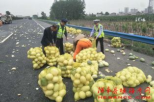 房县吃瓜群众,揭秘当地独特饮食文化