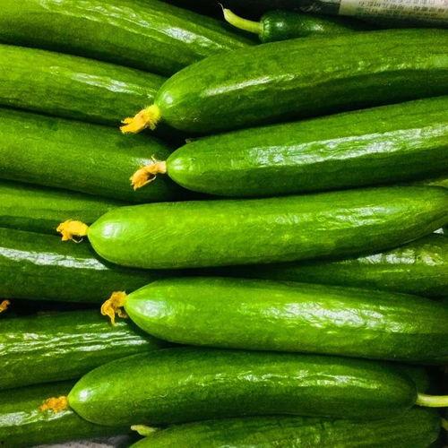 凌晨吃网纹瓜,网纹瓜的独特魅力