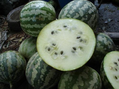 网格瓜怎么加热吃,美味升级，尽享暖意时光