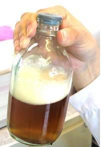 吃籽瓜会尿血,揭秘健康隐患与应对策略