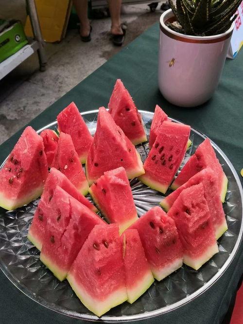 吃瓜霸花,揭秘娱乐圈的瓜田秘闻