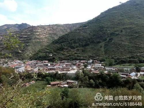 陇南礼县吃瓜事件始末,一场网络舆论的风波与反思