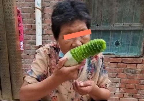 婆婆儿媳妇吃瓜,吃瓜群众眼中的甜蜜与矛盾