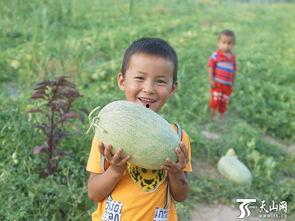 吃瓜群众江灵,揭秘吃瓜群众的趣味生活