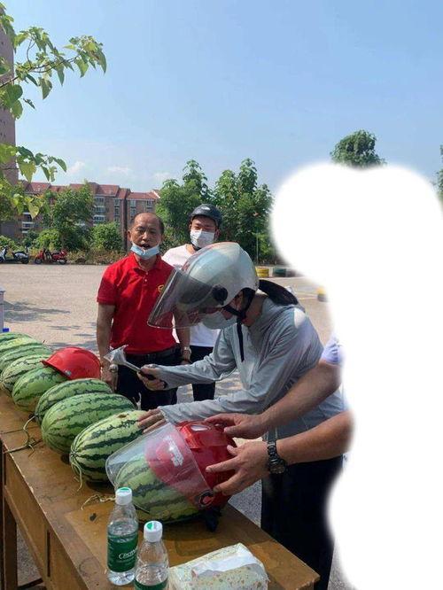 西安吃瓜最新事件,揭秘网络热议背后的真相与反思