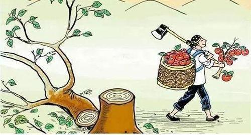 富人斗富穷人吃瓜,一场别开生面的社会现象解析