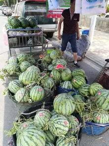 杭州摄影吃瓜事件,镜头下的争议瞬间