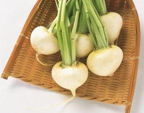 吃瓜萝卜唱歌视频,趣味横生的音乐盛宴