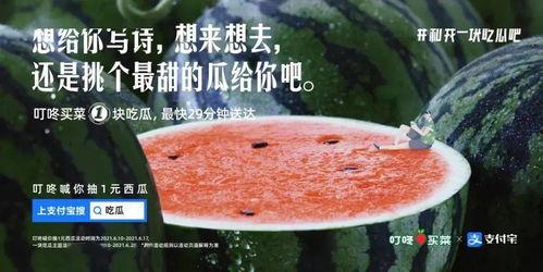 烤火吃瓜的文案,夏日吃瓜，尽享人间烟火气