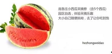 禾礼吃瓜,揭秘娱乐圈的甜蜜瓜田