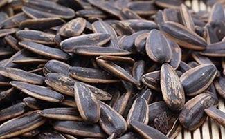 不吃瓜吃瓜子的瓜,探寻“不吃瓜吃瓜子”的趣味生活哲学