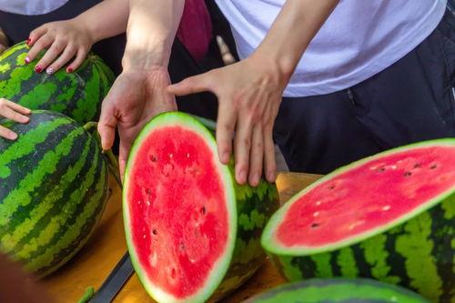 安宁大学吃瓜,吃瓜群众揭秘校园热点事件