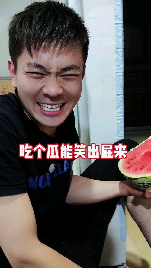 带我吃瓜奇葩小说,带你领略另类小说世界