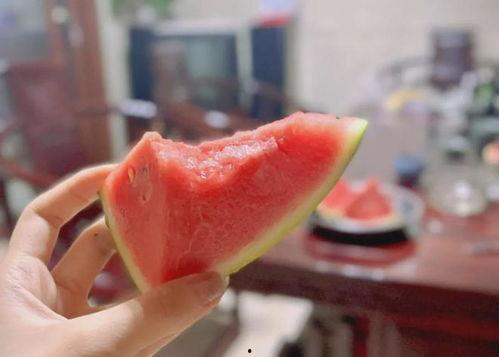 吃瓜协商,一场舌尖上的和谐对话