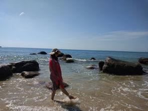 海角吃瓜群,揭秘网络社交圈的趣味与争议