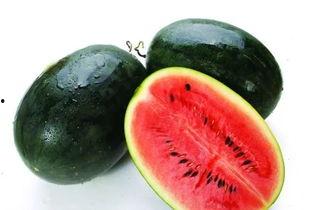 大清早吃瓜图片,瓜田里的欢乐时光