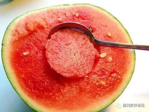 西瓜吃瓜图鉴大全