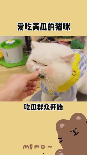 吃瓜啦吃瓜啦,揭秘娱乐圈最新热点事件