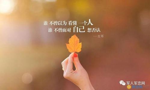 下雨吃瓜文案短句子