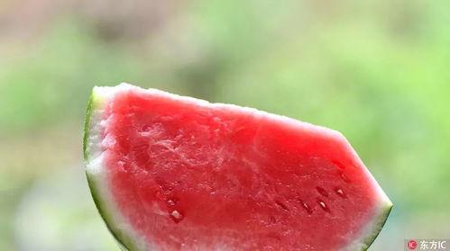 死亡吃瓜,揭秘网络暴力的暗黑面