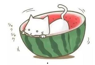 胖球吃瓜,揭秘娱乐圈那些不为人知的幕后故事