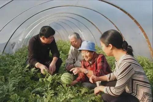 奶奶吃瓜,瓜果飘香里的温馨时光