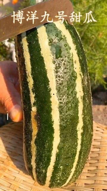 带你吃瓜没有买卖,没有买卖，吃瓜何来？