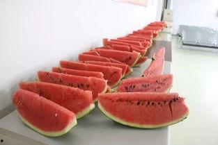 时恩吃瓜,揭秘娱乐圈背后的那些事儿