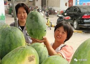 在小区吃瓜,小区里的欢乐时光