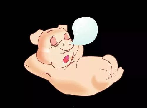 小胖吃自己的瓜,一场关于成长与自省的奇妙之旅