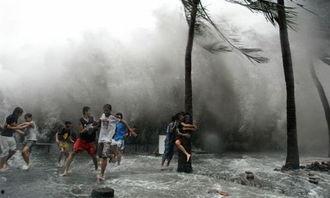 狂风来了吃瓜视频,一场吃瓜视频的狂欢之旅