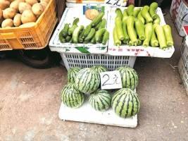 精品吃瓜价格,精品吃瓜界的价格之谜，一瓜难求背后的真相