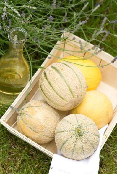 吃瓜二代,网络时代的“吃瓜群众”新势力