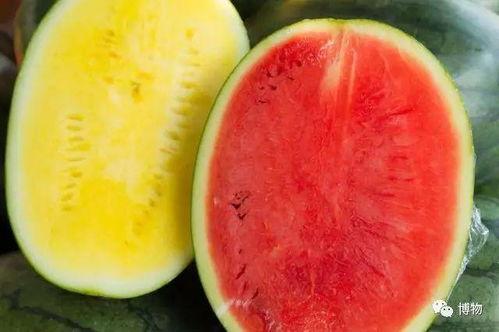 吃瓜自己也成瓜,我的成长之旅